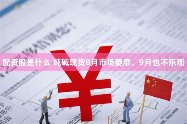 配资股是什么 纯碱现货8月市场萎靡，9月也不乐观