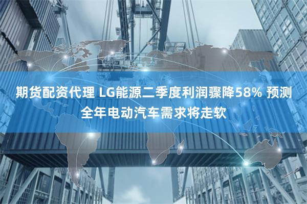 期货配资代理 LG能源二季度利润骤降58% 预测全年电动汽车需求将走软