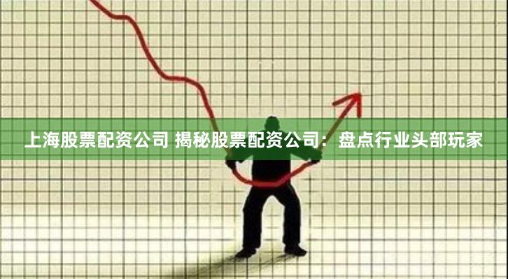 上海股票配资公司 揭秘股票配资公司：盘点行业头部玩家