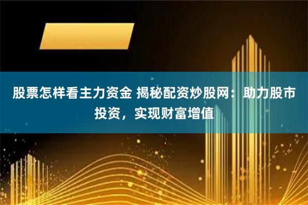 股票怎样看主力资金 揭秘配资炒股网：助力股市投资，实现财富增值