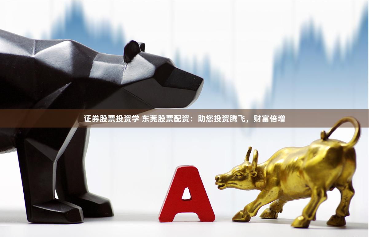 证券股票投资学 东莞股票配资：助您投资腾飞，财富倍增